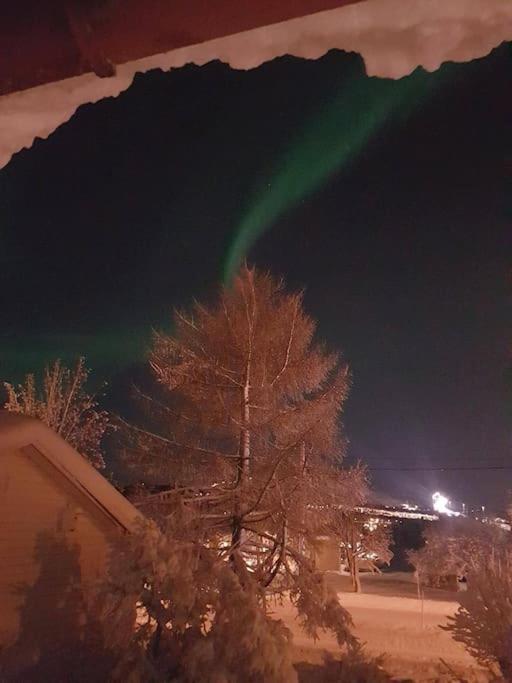 Spacious House In Tromso, Perfect For Groups Of Families, Tourists Or Workers Esterno foto